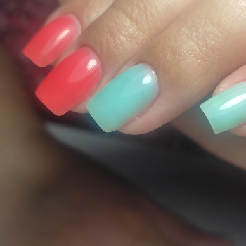 Олена Стасевич, Киев Фото - 11