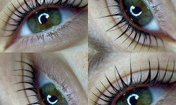  Лешмейкер София Харків