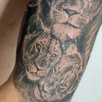 Алена Мельник, Дніпро Фото - 34