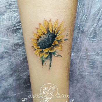 Татуировка художественная Цветная
                    Мастер перманентного макияжа Елена Кривой Рог