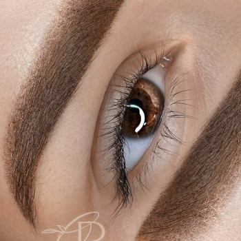 Татуаж бровей
                    Мастер перманентного макияжа Елена Кривой Рог