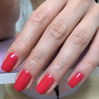 Оксана Коссе, Київ Фото - 25