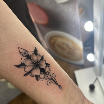 Наталія Семенцова, Чернигов Фото - 15