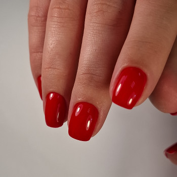 Манікюр +однотонне покриття