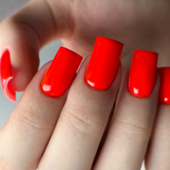 Granat, Киев Фото - 34