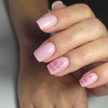 Олена Стасевич, Киев Фото - 7