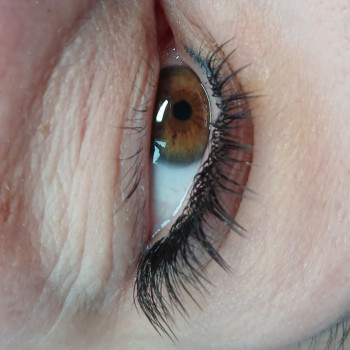 2д нарощення вій
                    Лешмейкер  Черкаси