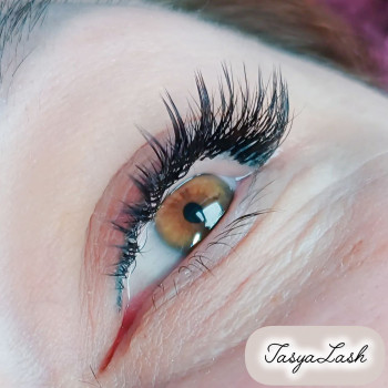 2д нарощення вій
                    Лешмейкер  Черкаси