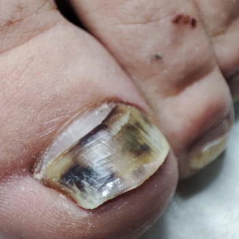 Ірина Авдієнко, Кропивницький Фото - 5