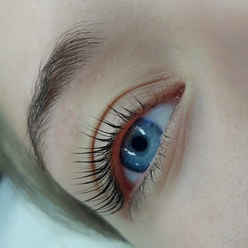 Ламинирование ресниц
                    Бровист Светлана Пуха Одесса