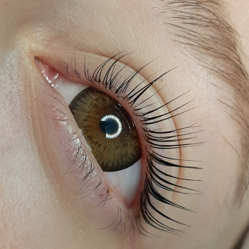 Ламинирование ресниц
                    Бровист Светлана Пуха Одесса