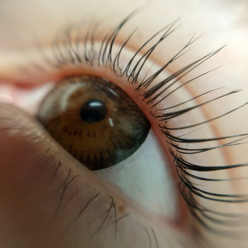 Ламинирование ресниц
                    Бровист Светлана Пуха Одесса