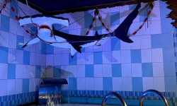 Мужская программа для 1 человека «С легким паром» СПА-салон SPARELAX Кривий Ріг