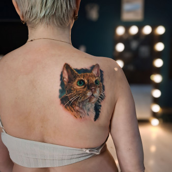 Дмитрий Супрун, Одеса Фото - 10