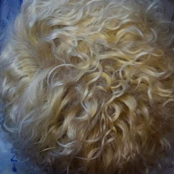 Біозавивка волосся
                    Парикмахер Оксана Житомир