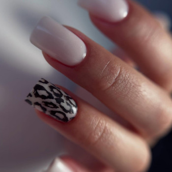 SMI, Ровно Фото - 5