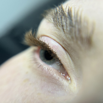 Нарощування вій
                    Лешмейкер Оксана Славянск