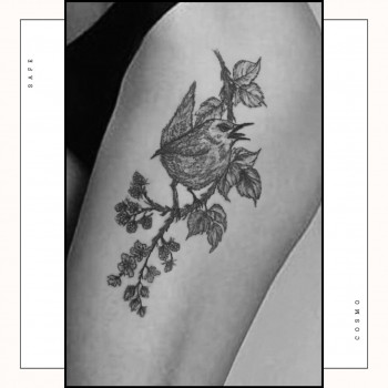 Тату Плотний прокрас (нью скул, олд скул, гравюра)
                    Косметологический центр Safe Cosmo Kyiv Киев