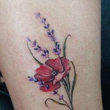 Дмитрий Шевченко, Дніпро Фото - 4