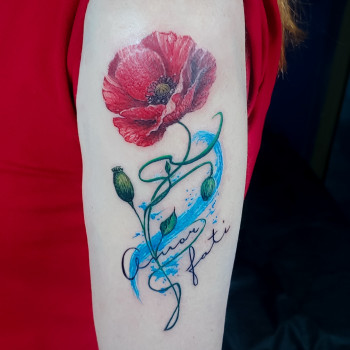 Дмитрий Шевченко, Дніпро Фото - 14