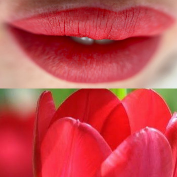 Анна Земляк, Ужгород Фото - 15