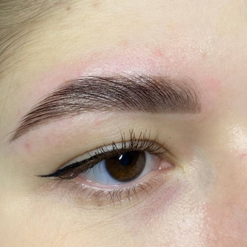 Оформлення та ламінування брів і вій
                    Мастер по наращиванию волос Яна Киев