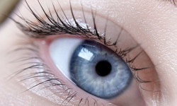  Салон краси Lady Ірпінь