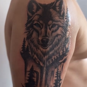 Тетяна Шевчук, Бердичев Фото - 2