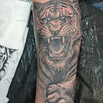 Мolfar tattoo, Краматорск Фото - 2