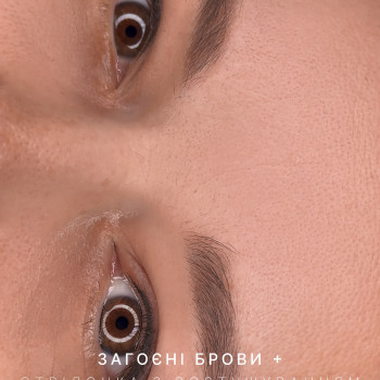 Перманент брів (пудрова техніка)
                    Мастер перманентного макияжа Екатерина Полтава