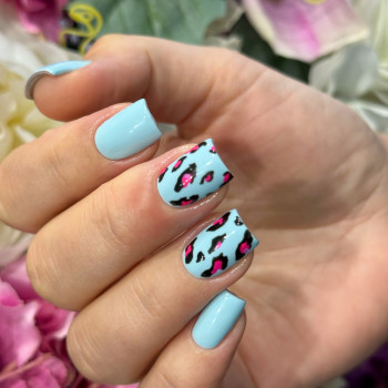 Kasya, Дніпро Фото - 8