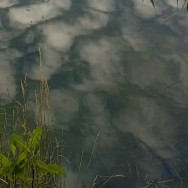 Медсестра Татьяна Гонтарева на Barb.ua