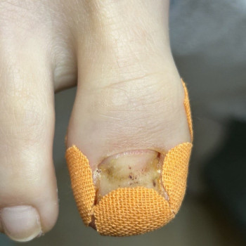 Yasinski, Луцьк Фото - 5