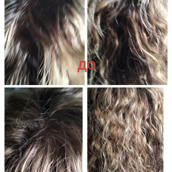  + частковий мелір. 3 год. 1300 грн