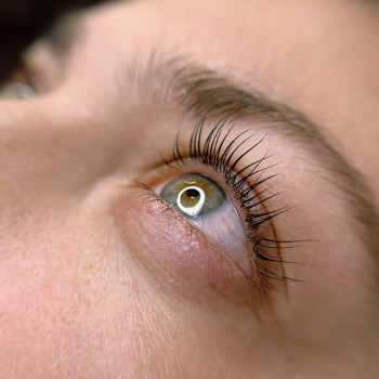 Ламінування вій + фарбування
                    Бровіст  Київ