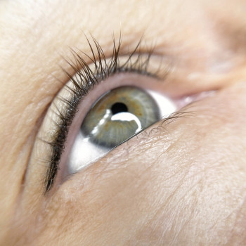 Марченко Ольга Лавринович, Житомир Фото - 62