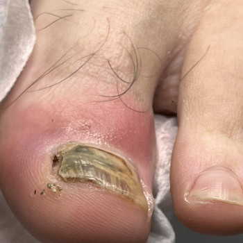 Олена Шибанова, Черкаси Фото - 3