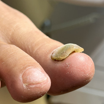 Олена Шибанова, Черкаси Фото - 5