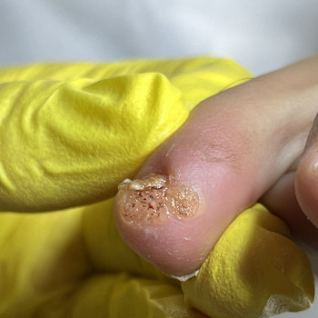 Олена Шибанова, Черкаси Фото - 7