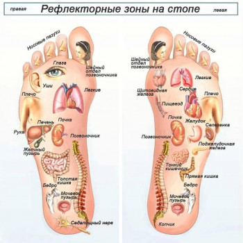 Масаж стоп, ноги
                    Масажист Тамара Одеса