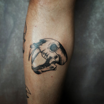 Владислав Грабовенко, Жовті Води Фото - 16