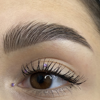 корекція та фарбування брів