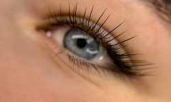  Лешмейкер Яна Харьков