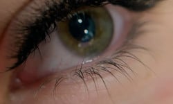  Лешмейкер Янина Ковель