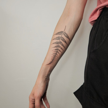 папоротник