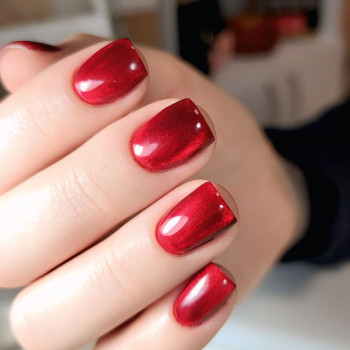 Любов Ткаченко, Київ Фото - 10