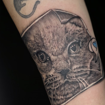 Татуировки любой сложности. Перекрытие шрамов. Перекрытие/ обновление старой тату
                    Тату мастер Александр Викторович Запорожье