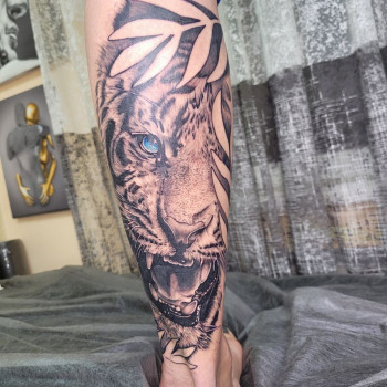 Татуировки любой сложности. Перекрытие шрамов. Перекрытие/ обновление старой тату
                    Тату мастер Александр Викторович Запорожье