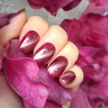 Альона Чигрин, Кам'янець-Подільський Фото - 5