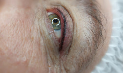  Майстер перманентного макіяжу  Київ